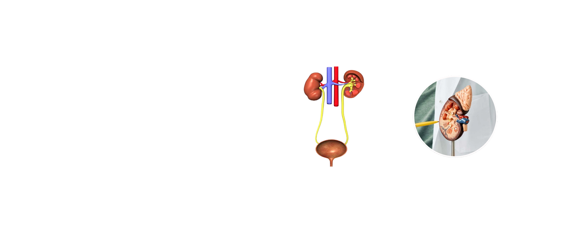 Urology Care