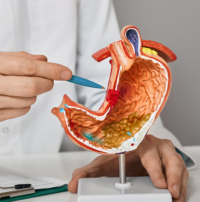 Gastrosurgery